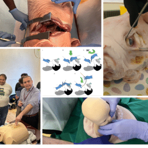 High Acuity, Low Occurrence (HALO) Procedures Course